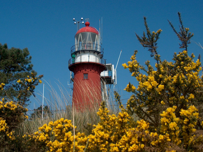 lighthouse Vlieland