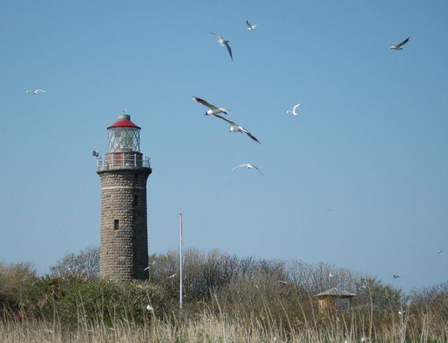 lighthouse Hirsholm
