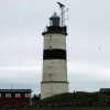 to the lighthouse Morups Tånge