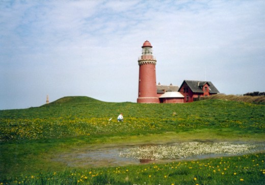 Leuchtturm Bovbjerg inmitten Butterblumen